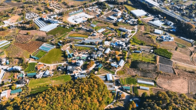 농촌 마을과 농경지의 항공 뷰