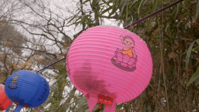 Colorful lanterns hanging in a garden