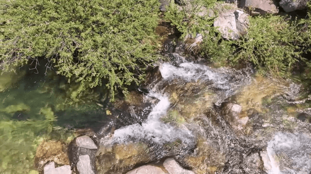 Clear stream flowing over rocks