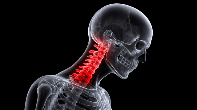 Detailed view of human neck joint emphasized