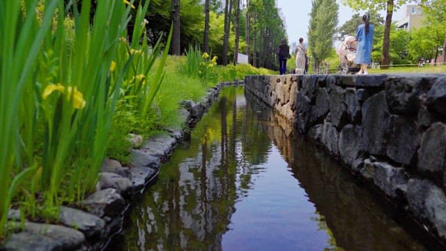 People strolling by a canal in a green park on a sunny afternoon