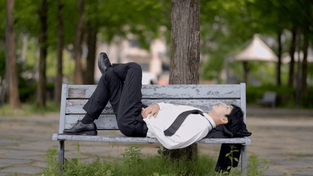 Tired office worker lying on park bench