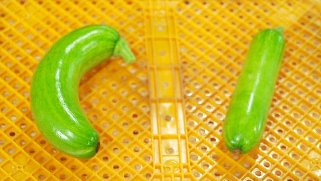 노란색 플라스틱 박스에 놓인 녹색 애호박
