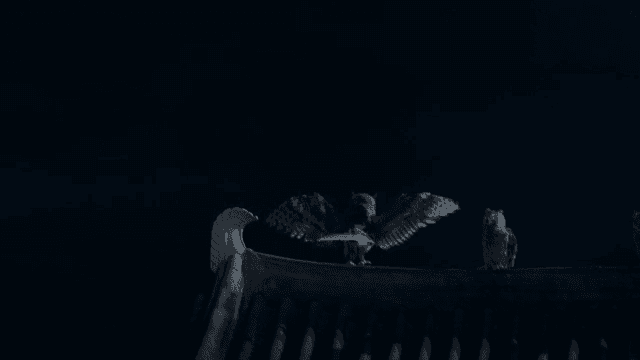 밤에 지붕 위에 앉아 있는 올빼미들