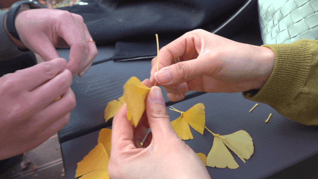 노란 잎으로 공예하는 손