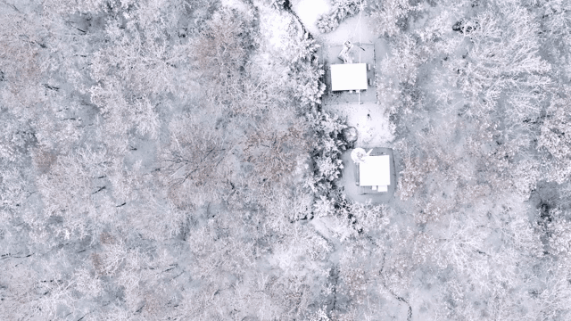 Snow-covered forest with scattered cabins