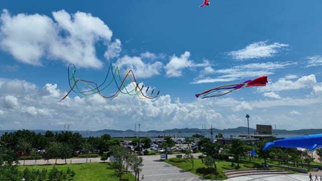 Kites Flying High in Coastal Park on a Sunny Day