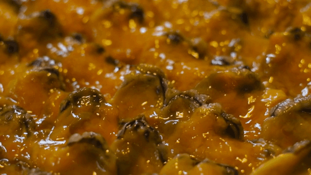 접시에 담긴 신선한 멍게의 근접 촬영