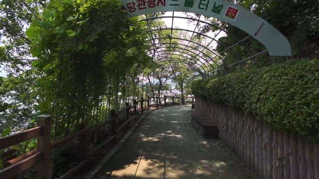 햇살 가득한 녹색 공원 산책로