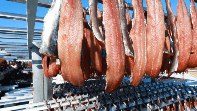 Fish fillets drying under the sun