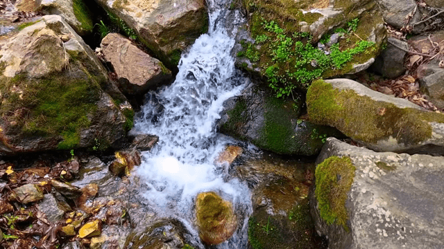 바위를 타고 흐르는 작은 폭포