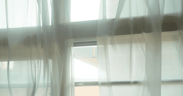 교실 얇은 커튼을 통해 들어오는 햇빛