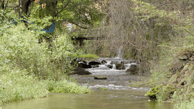 녹지로 둘러싸인 계곡