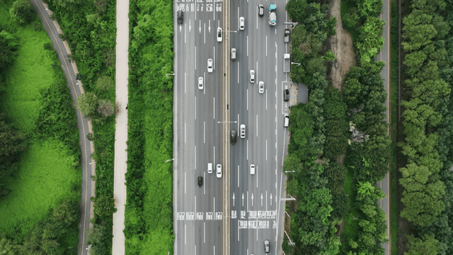 Highway surrounded by greenery full of trees