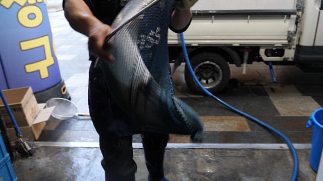 수조에 방어를 넣는 사람