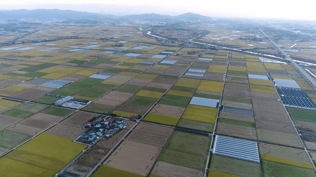 Wide, evenly divided farmland