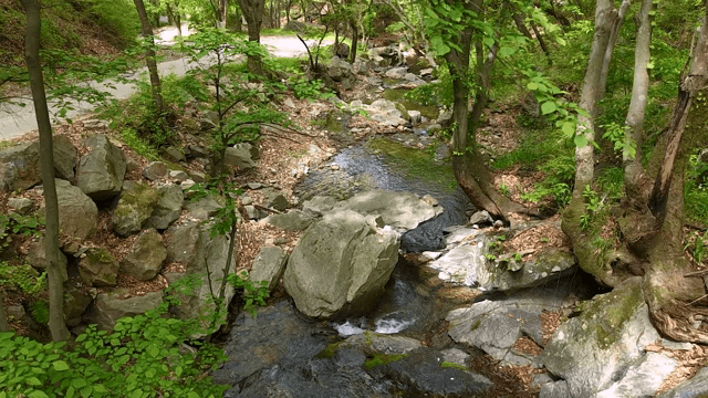 바위가 있는 고요한 숲 속 개울
