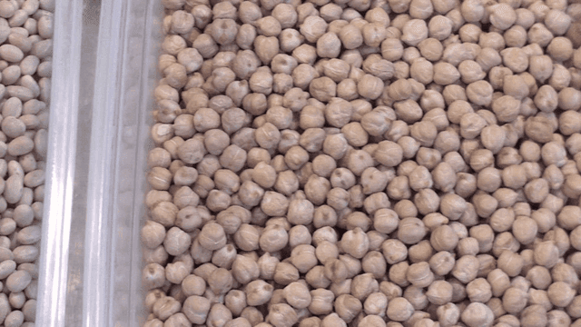 플라스틱 용기에 담긴 여러 가지 콩들