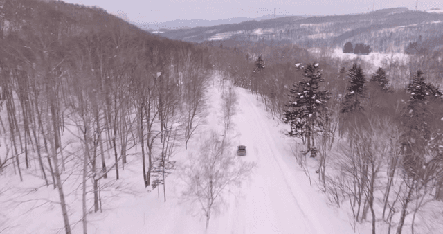 눈 덮인 숲을 달리는 자동차