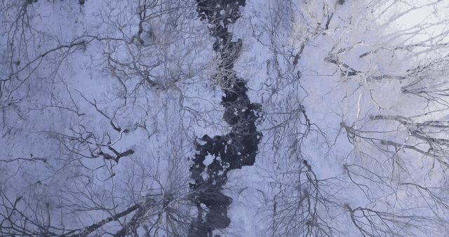 Snow-covered forest with a winding stream