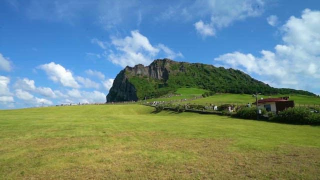 Serene Grassland with Rugged Mountain