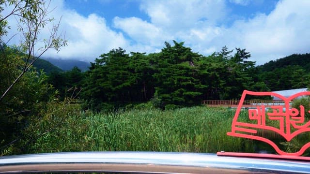 맑은 하늘 아래 무성한 나무와 연못의 풍경