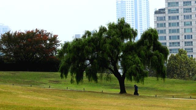 도시 공원의 한가로운 날