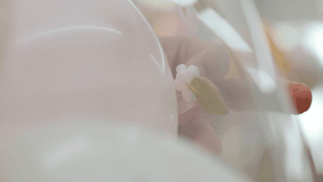 Delicate flower decorations on balloon