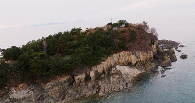 숲이 울창한 해안 절벽과 바다