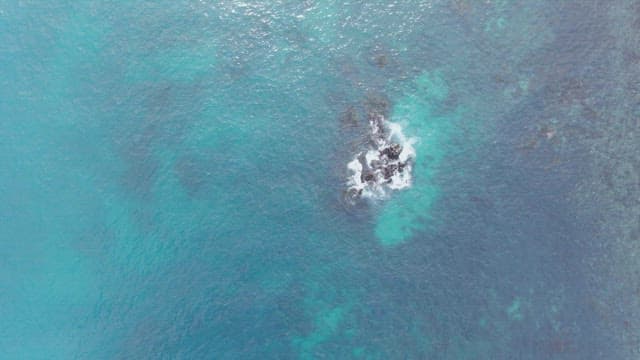 바다의 바위에 잔잔하게 부딪히는 파도