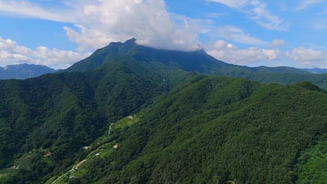 푸른 하늘 아래 푸른 산