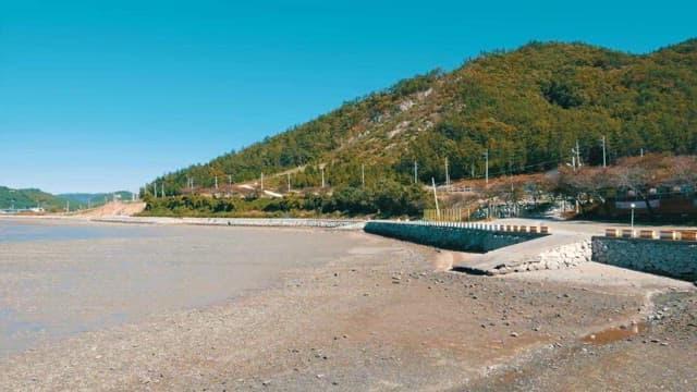 해안가의 썰물 때 풍경과 풀이 무성한 언덕