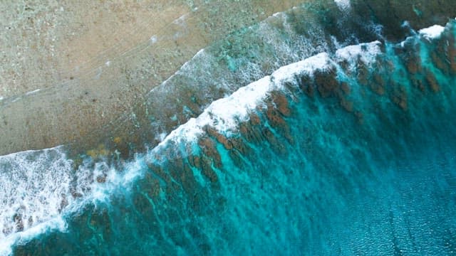 Waves Crashing on Shoreline