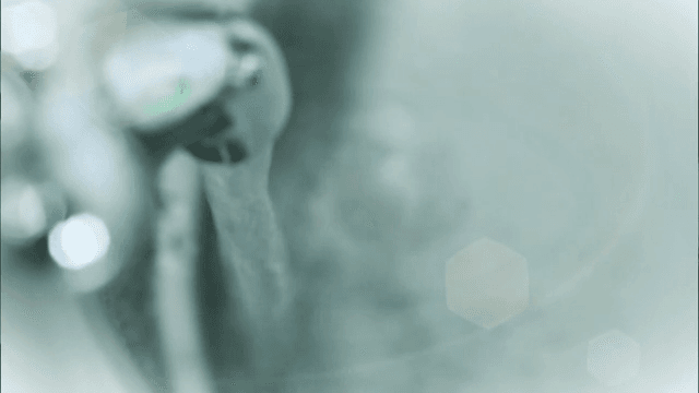 Water flowing from a faucet into a sink