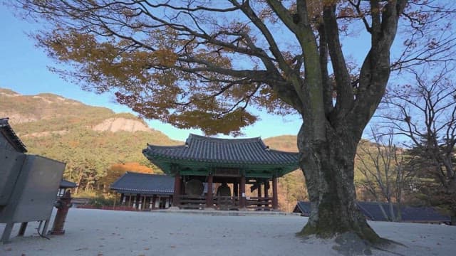 Traditional Korean temple in autumn