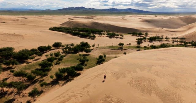 Vast desert landscape with greenery