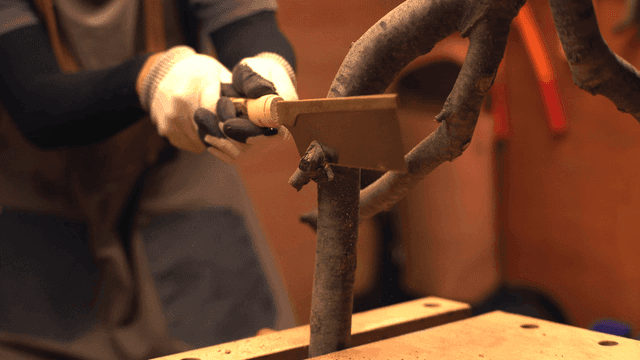 실내에서 나뭇가지를 자르는 사람