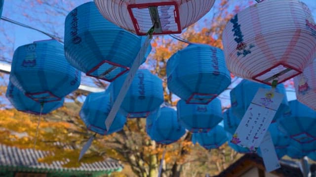 Colorful lanterns adorning a traditional temple