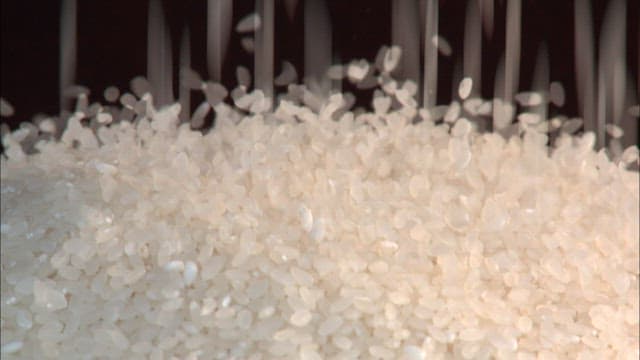 Close-up of rice grains falling in slow motion