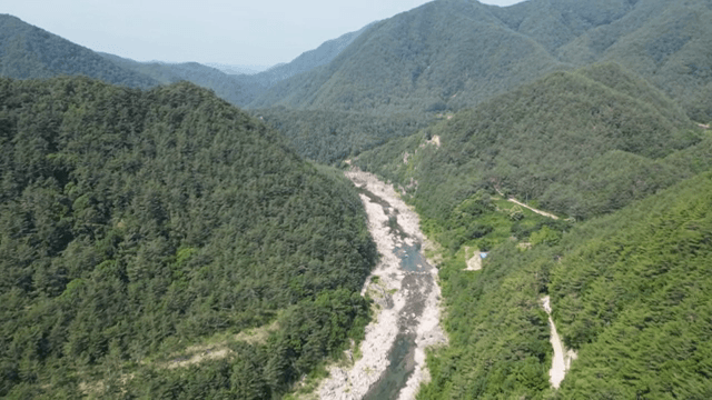 푸른 산을 따라 흐르는 강