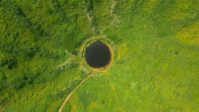 Small lake surrounded by lush greenery