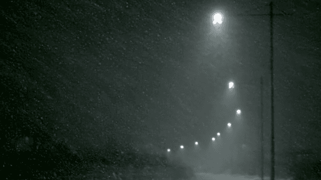 Snow falling under streetlights at night