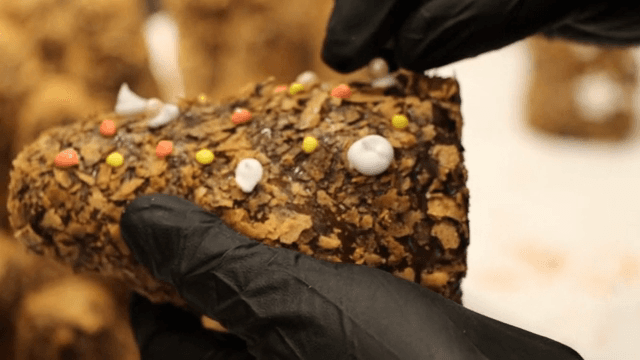 Decorating a chocolate-covered dessert