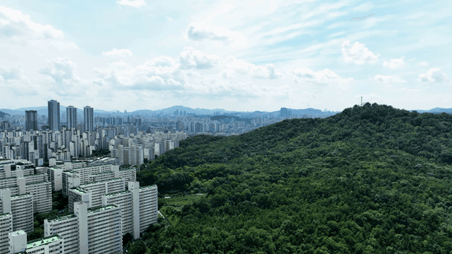 Green hill adjacent to city skyline