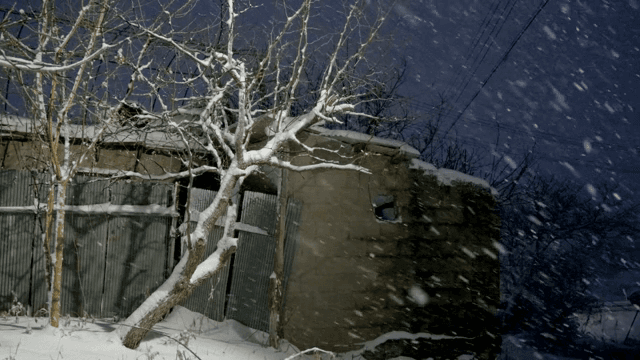 Snowy night with a tree and building
