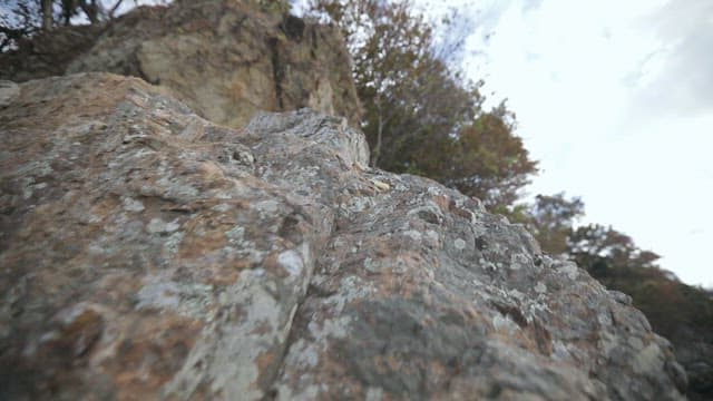 나무와 의자가 있는 바위 절벽