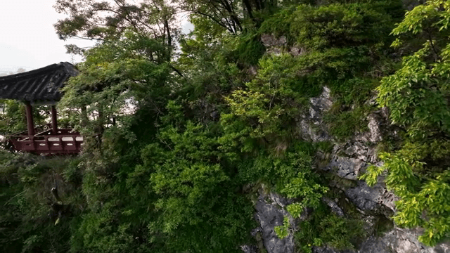 무성한 나무들 사이로 있는 전통 정자