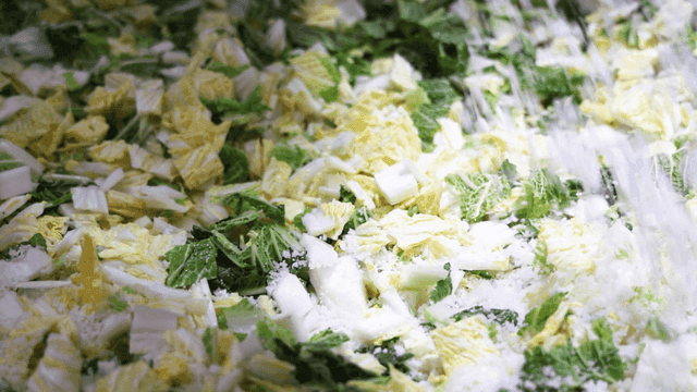 Salted pickled cabbage