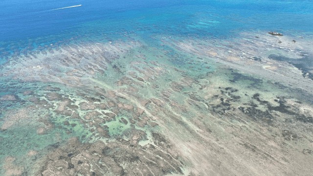 Aerial view of a clear beach and ocean