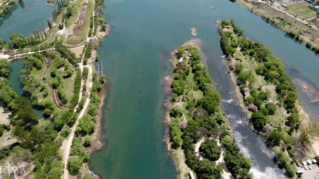 Aerial view of a lush river landscape